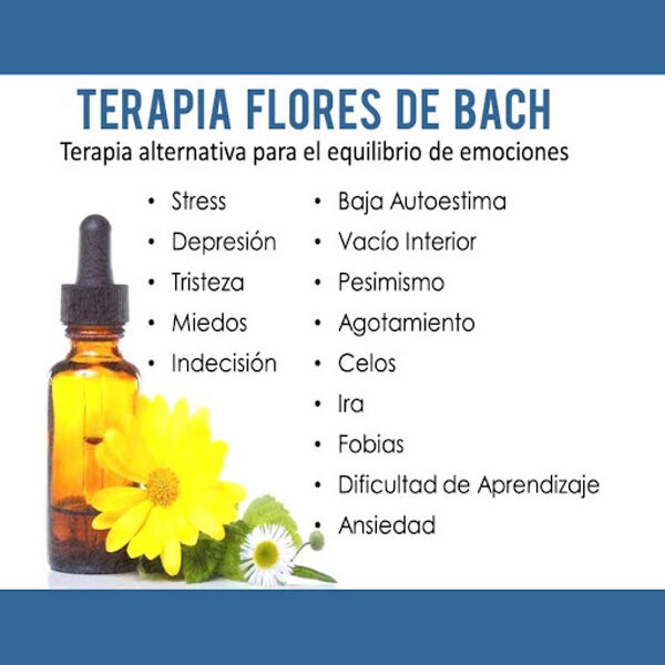 Flores de Bach- CURSOS CORTOS DE CONSULTOR EN FLORES DE BACH  y CONSULTOR EN FENG SHUI        Haga clic aquí      